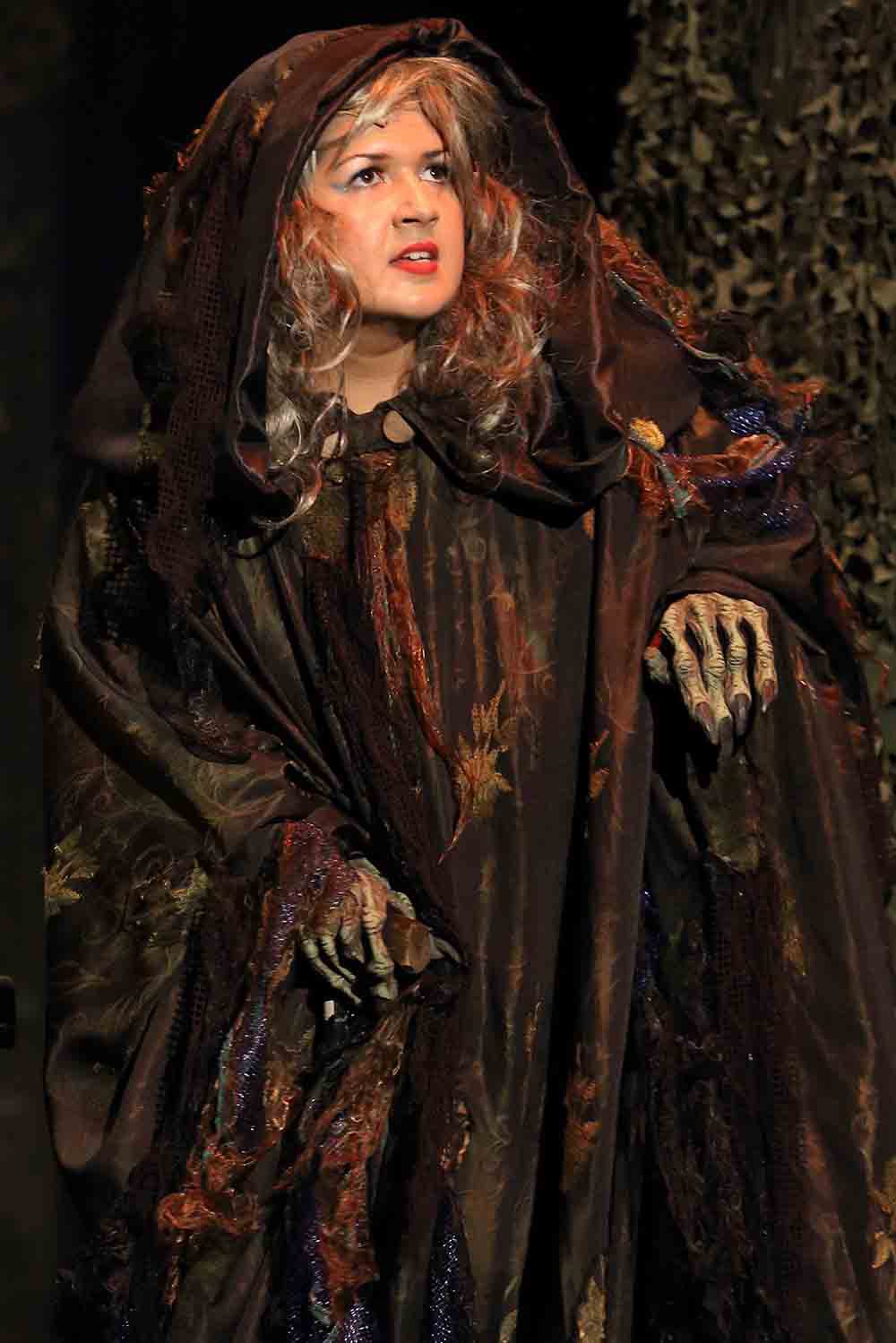 Wicked Witch. Scene from Into The Woods